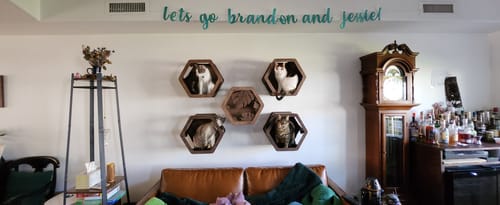 Customer photo review of Wall Mount Cat Shelves Black
