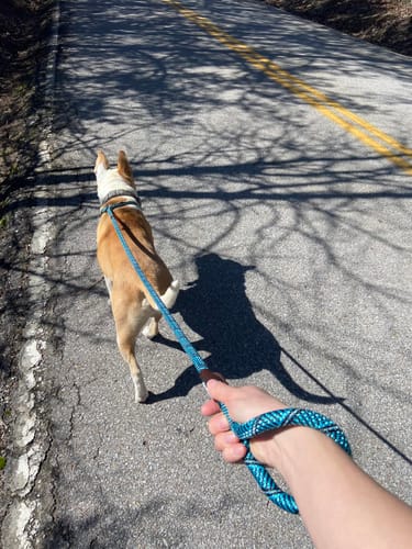 Customer photo review of Fida Durable Slip Lead