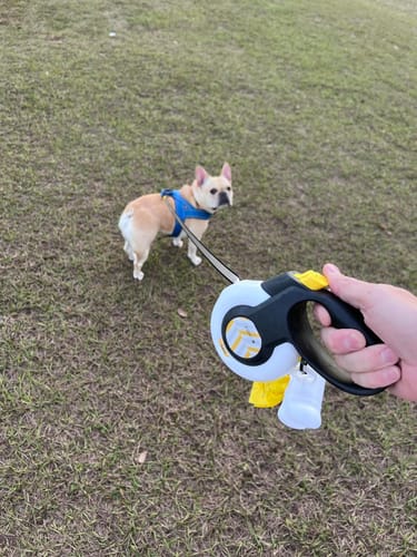 Customer photo review of Fida AutoBrake Leash