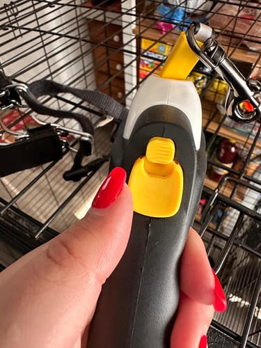 Customer photo review of Fida AutoBrake Leash