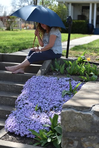 Customer photo review of X TALARICO Handmade Whole Ginestra Vesuvius Broom Wood Blue Umbrella