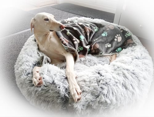 Customer photo review of Super Plush Donut Bed