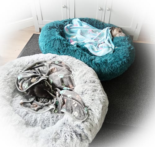 Customer photo review of Super Plush Donut Bed