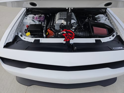 Customer photo review of DFS Custom Logo Hood, Door, Trunk Prop