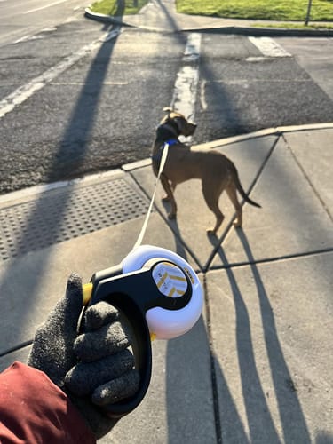 Customer photo review of Fida AutoBrake Leash