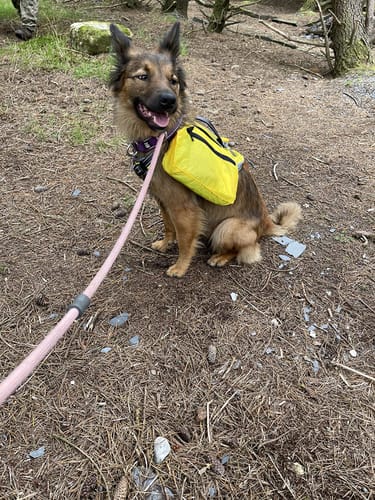 Customer photo review of Fida No Pull Harness