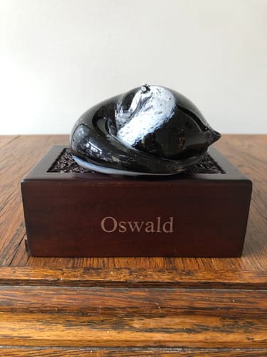 Customer photo review of Memorial Sleeping Glass Cat - Contains Cremation Ash in Glass from Your Loved Cat