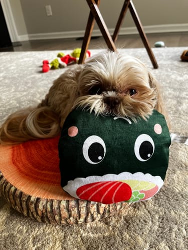 Customer photo review of Fruit Cushion