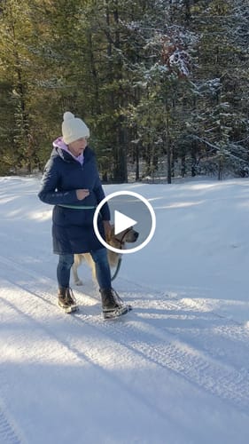 Customer video review of Ruffwear Roamer Bungee Leash