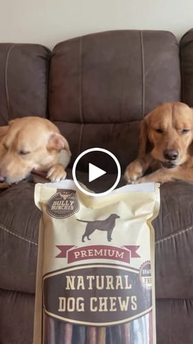Customer video review of 6 Inch Standard Bully Stick