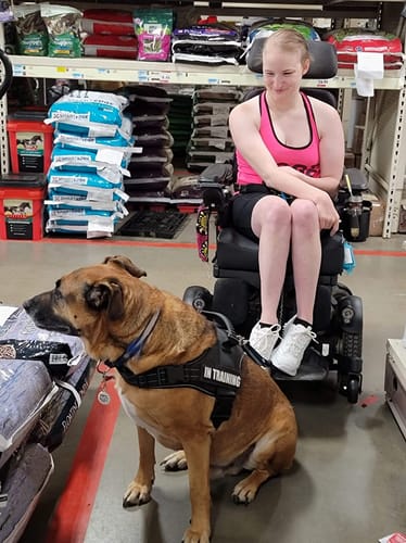 Customer photo review of FIDA Heavy Duty Dog Collar