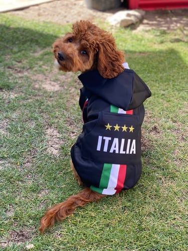 Customer photo review of Dog Hoodie - Italia black