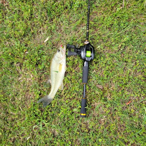 Customer photo review of NEW! Flight Feather FF01 Power BFS Casting Reel | Cormorant Casting Reel