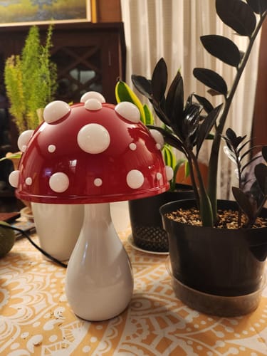 Customer photo review of THE MELITA LAMP