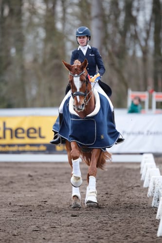 Customer photo review of Strotonin Horse Support