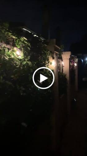 Customer video review of Litehouse Solar LED Festoon Outdoor Bulb String Lights - Vintage Bulb - 5V - Black String