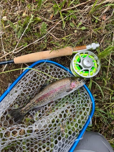 Customer photo review of Flat Creek Rod Combo Kit