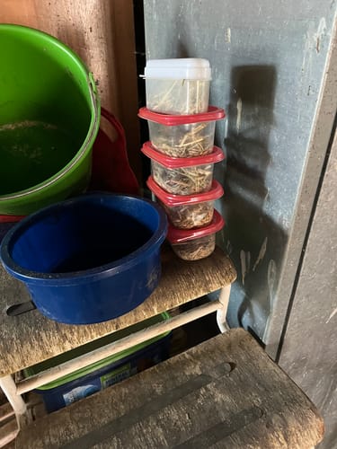Customer photo review of Strotonin Horse Support