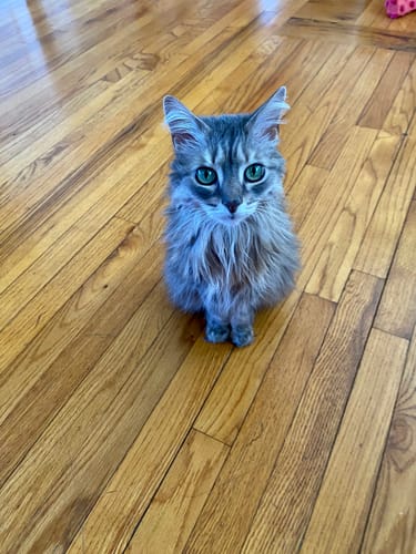 Customer photo review of BierKashi Bokashi 5 to 50 lbs