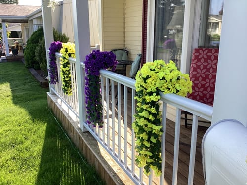 Customer photo review of Vivid Artificial Hanging Orchid Bunch