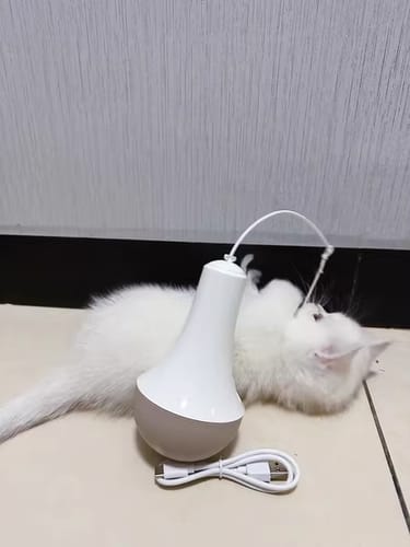 Customer photo review of Roly Poly Cat Toy