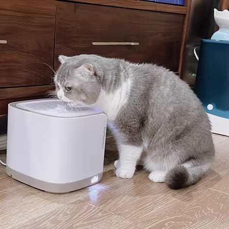 Customer photo review of Pet Water Fountain