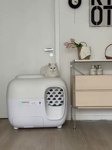 Customer photo review of Self-Cleaning Litter Box