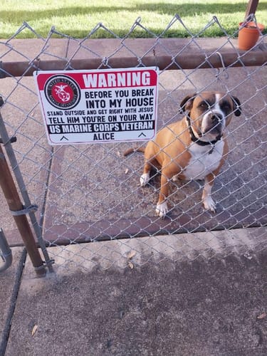 Customer photo review of Priority Processing