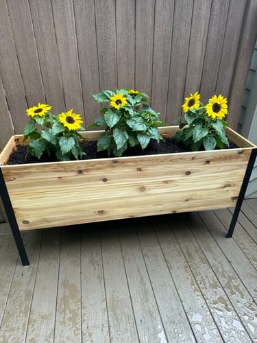 Customer photo review of 18" x 60" Raised Garden Bed