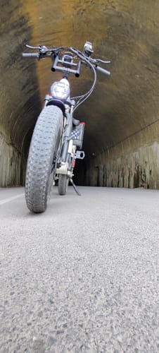 Customer photo review of Wallke H7 Step-thru AWD