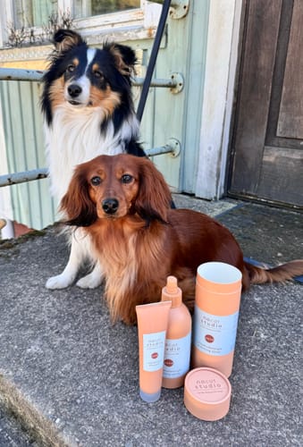 Customer photo review of Refresh+detangle hoitosuihke - VAND