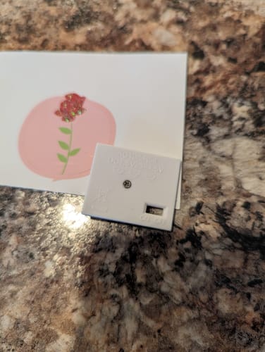 Customer photo review of AG10 Battery Replacement Kit