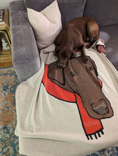 Customer photo review of Plain Dog - Custom Knitted Blanket