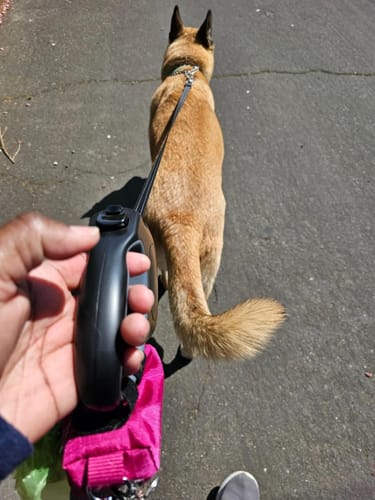 Customer photo review of FIDA 16ft Heavy Duty Retractable Dog Leash
