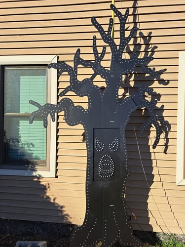 Customer photo review of EVO Pixels P124