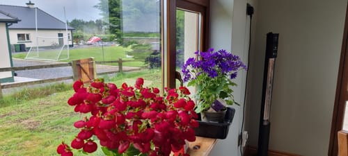 Customer photo review of Quickshine Starter Pack