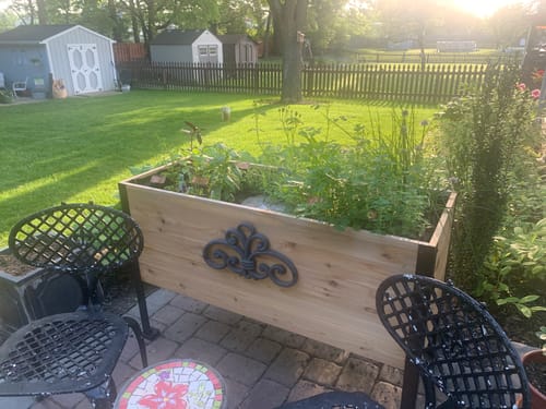 Customer photo review of 18" x 48" Raised Garden Bed
