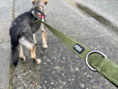 Customer photo review of FIDA Heavy Duty Dog Leash