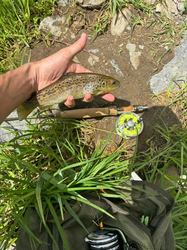 Customer photo review of Battenkill River Rod Combo Kit