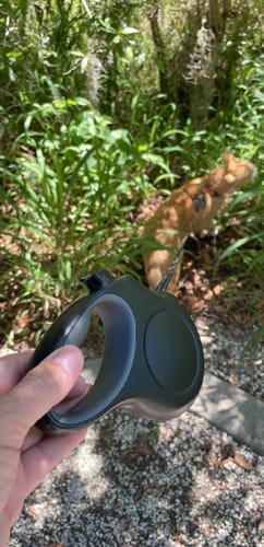 Customer photo review of FIDA 16ft Heavy Duty Retractable Dog Leash