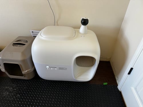 Customer photo review of Self-Cleaning Litter Box