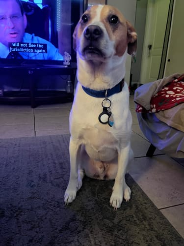 Customer photo review of Beach Silicone