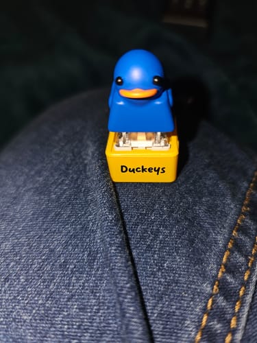 Customer photo review of FREE Clickey