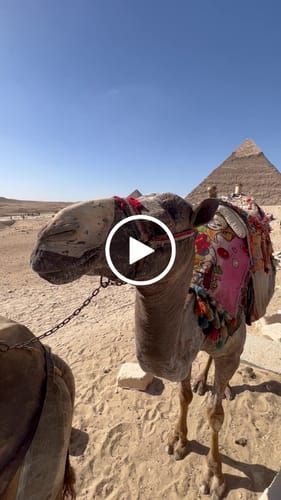 Wendy G. review of Women Ethnic Spliced Washed Denim Harem Pants image 1 out of 1