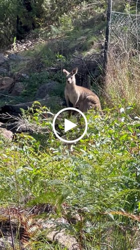 Wendy G. review of Plus Size - Simple Pure Color Loose Denim Jeans image 1 out of 1