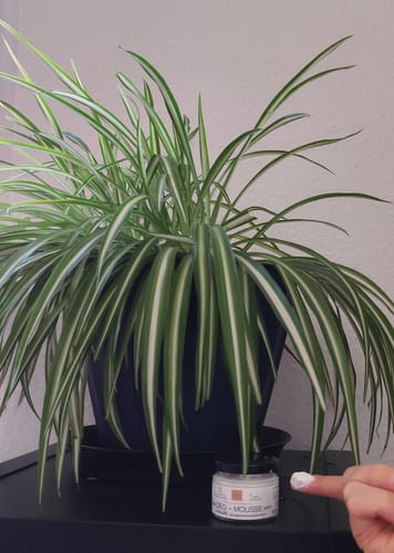 Customer photo review of Deo-Mousse Lavendel 24+ Deo wie Creme ohne Aluminium Naturkosmetik 50ml