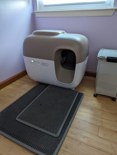 Customer photo review of Self-Cleaning Litter Box