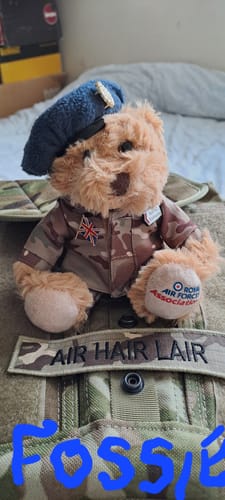 Daniel review of 6'' RAF MTP Beanie Bear image 1 out of 4