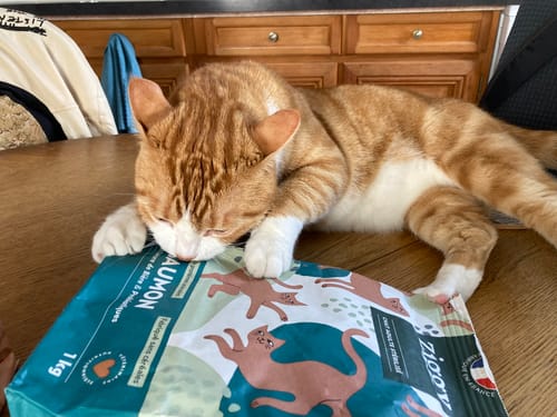 Avis photo d'un client sur Croquettes Chat Stérilisé Sans Céréales - Saumon
