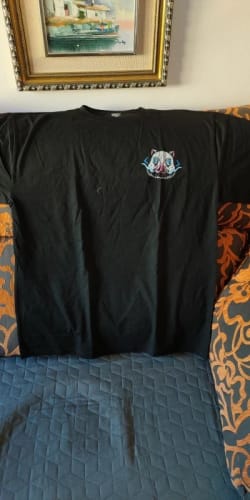 Customer photo review of Assorted Japanese Anime Kon Oversized T-shirt